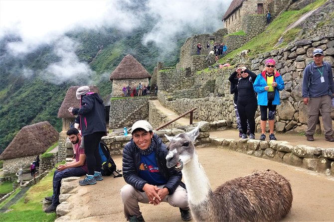 Machu Picchu full day trip from Cusco - Getting Back to Cusco: Lunch, Train, and an Evening Drop-Off