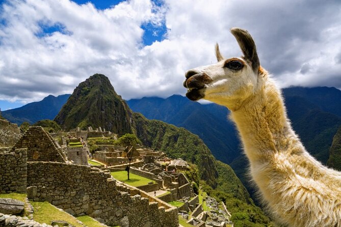 Machu Picchu Full Day with lunch by Aludi Travel - Cusco to Machu Picchu: a long day built for smooth flow