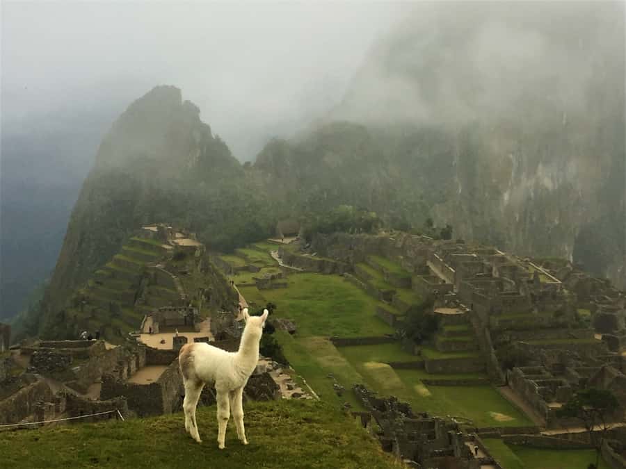 Machu Picchu: Private Tour Guide Service - Should you book this private Machu Picchu guide?