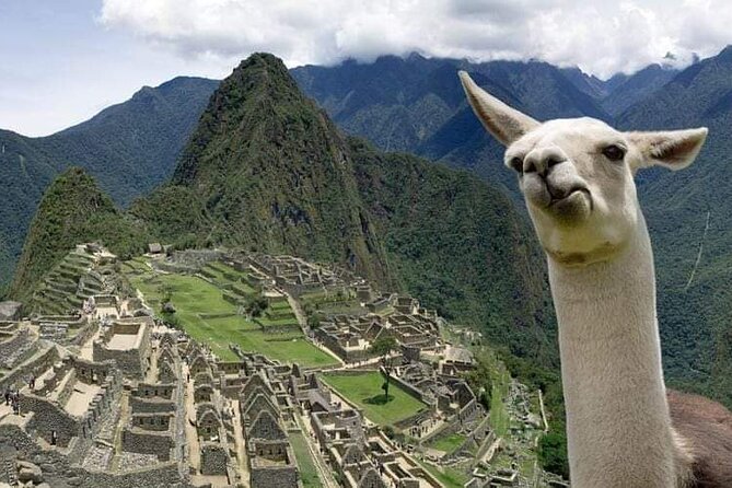 Machu Picchu Small Group Day Tour from Cusco - What the return day feels like: bus down, train back, hotel drop