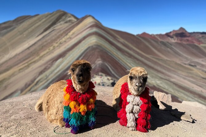 Machupicchu Exclusive Experience - Machu Picchu day: guided circuits, key temples, and the pacing you want
