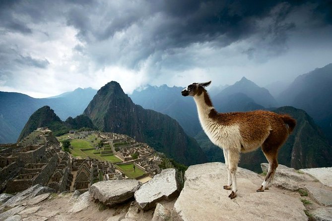 MachuPicchu Private Full Day Tour by Vistadome train from Cusco - Touring Machu Picchu with a private guide: Temple of the Sun, Sacred Plaza, and more