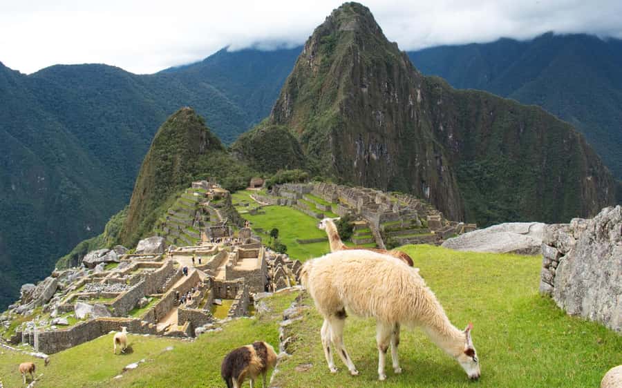 Machupicchu tour by tourist train in 2 days - Inside Machu Picchu: what the highlights mean for your experience