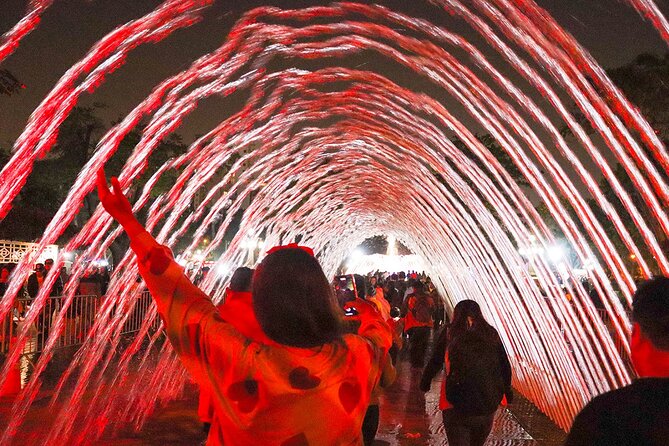 Magic Water & Laser Light Show Including Pickup And Drop-Off - Should You Book This Magic Water and Laser Tour?