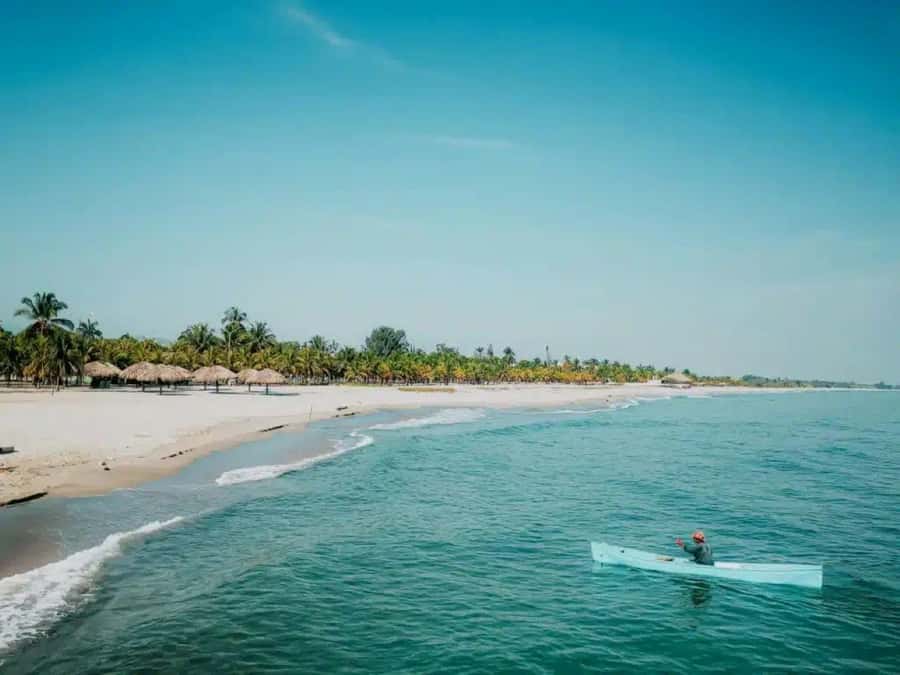 Mancora: Beaches and Tumbes Mangroves Day Trip - Key Highlights You’ll Feel Right Away