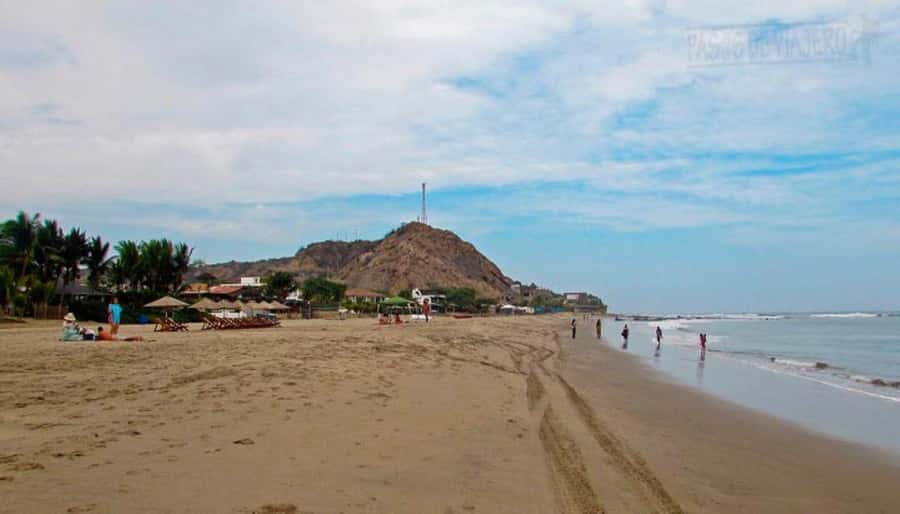 Mancora: Beaches and Tumbes Mangroves Day Trip - Crocodile Farm With 300+ Crocodiles, Plus the Monday Catch