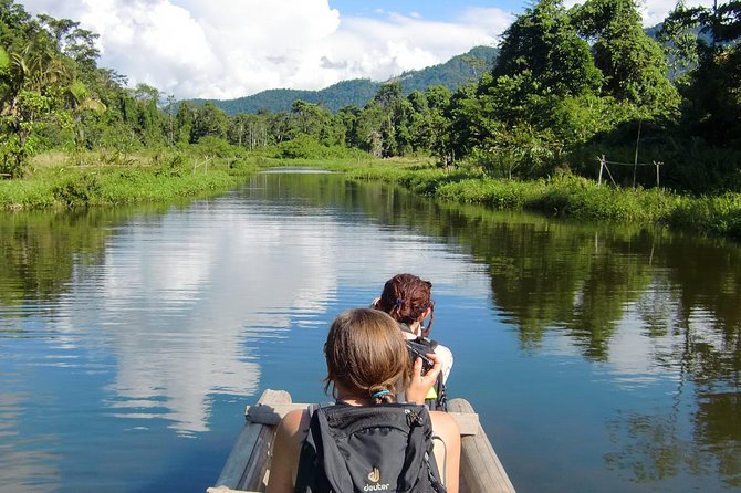 Manu Adventure (4 Days) - Day 3: trail system day, giant trees, and searching for caiman eyes
