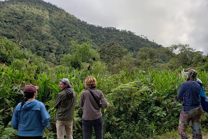 Manu National Park Tour 4days/3night - Tambopata and the Peru Giants: Why This 4 Days Can Feel Packed
