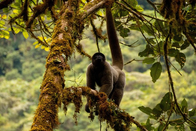 Manu National Park Tour 4days/3night - Price and Value: Is $470 Fair for What You Get?