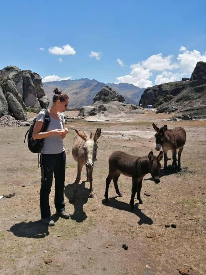 Marcahuasi Experience in Lima - The Guided Walk: 2 to 2.5 Hours of Bizarre Stone, With a Real Flow