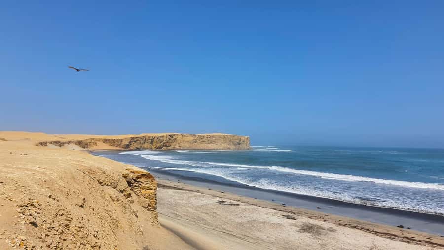 Mini Buggy GO KART in Paracas National Reserve - Upper Viewpoint Time, Panoramas Over Desert and Ocean