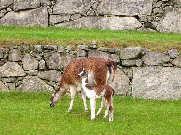 Mystical Journey: 2-Day Private Adventure to Machu Picchu - Aguas Calientes overnight: hot springs town, museum, and a gentler pace