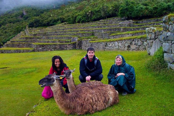 Mystical Journey: 2-Day Private Adventure to Machu Picchu - Who this private Machu Picchu plan suits best