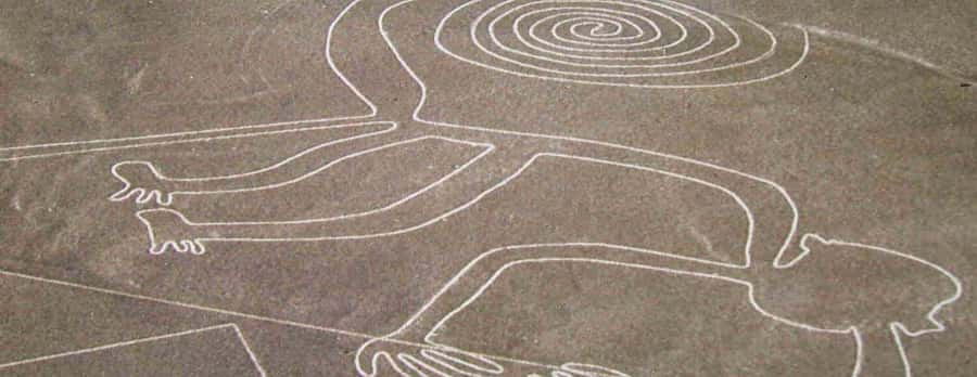 Nazca: Light aircraft flight over the Nazca Lines - Key things I would not skip