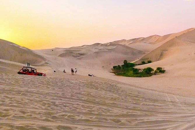 Nazca Lines and Dune Buggy (Huacachina) from Ica - Huacachina Oasis: where you reset before the dunes