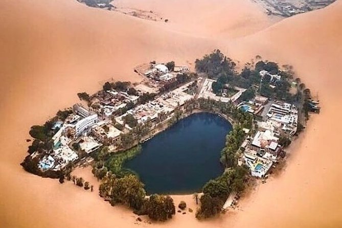 Nazca Lines and Huacachina Oasis from Lima - Huacachina Oasis at the right time: photos, palm trees, and desert calm