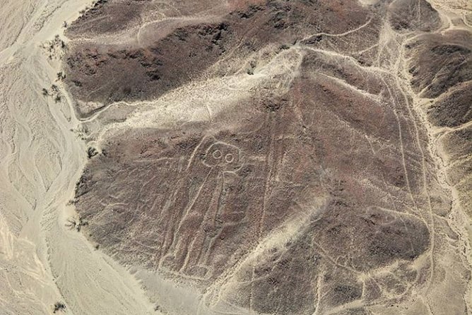 Nazca Lines and Huacachina Oasis from Lima - Who should book this Nazca and Huacachina tour