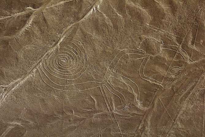 Nazca Lines & Ballestas Islands Private Tour Bus&Flight from Lima - A Private Day, With Real Local Staffing (Including Guide Names)