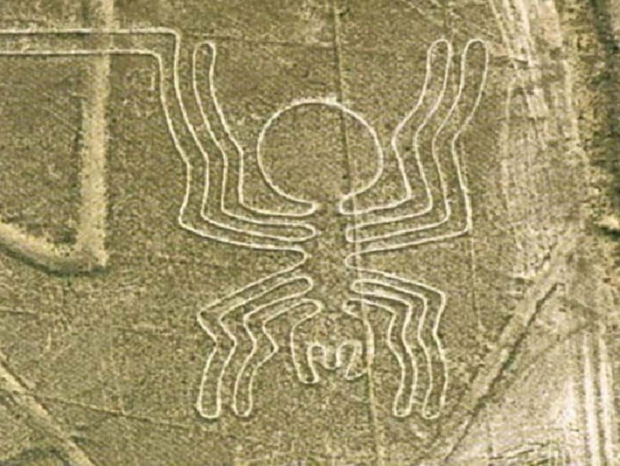 Nazca: Maria Reiche Museum and Nazca Lines Viewpoint Tour - Maria Reiche Museum Plus Viewpoints: The Best “Short Tour” Combo