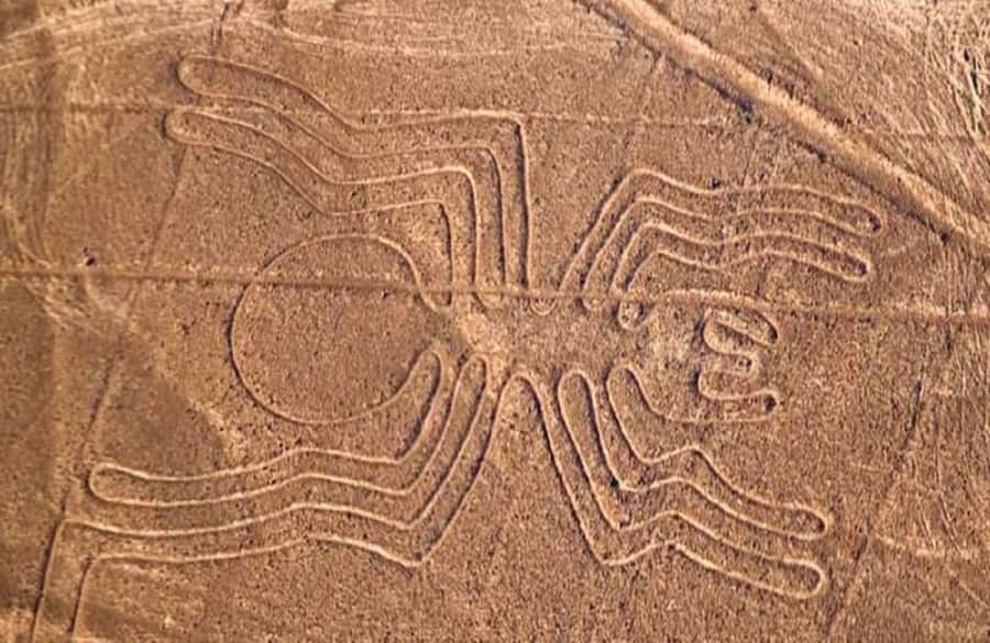 Nazca: Overflight of the Nazca Lines - Why a Nazca Lines overflight makes sense, even when you do not know what you are looking at