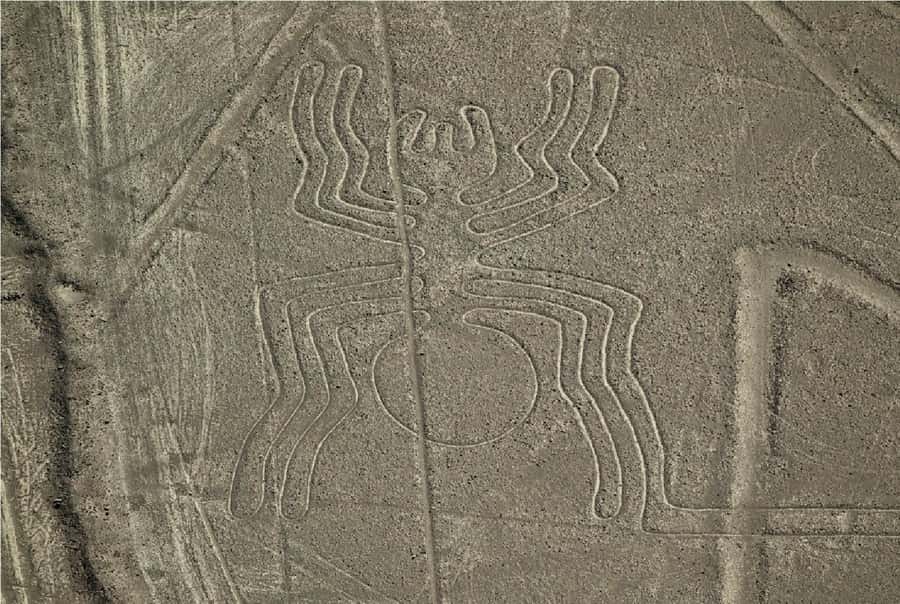 Nazca: Overflight of the Nazca Lines - Comfort and motion sickness: the small-plane factor you should plan for