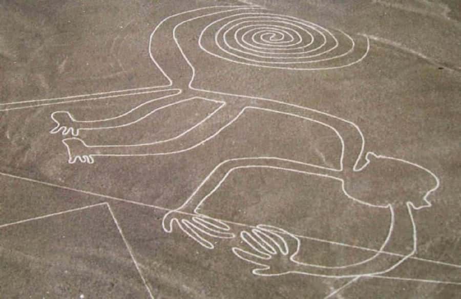Nazca: Overflight of the Nazca Lines - Who this Nazca overflight tour suits best
