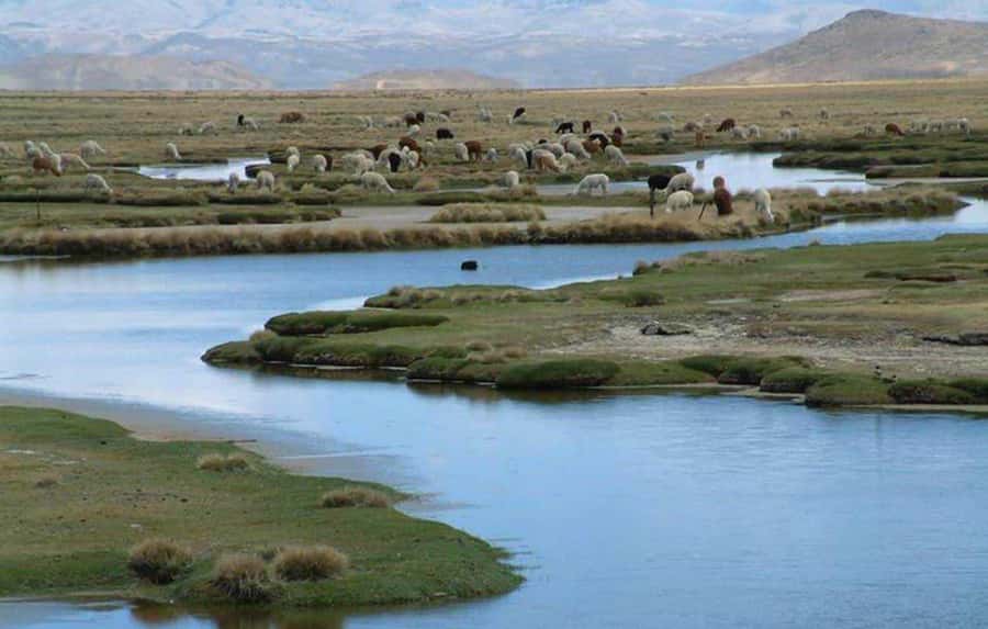 Offer Price Tour Salinas Lagoon and National Reserve 8 hours - Should you book this Salinas Lagoon and Reserve tour?