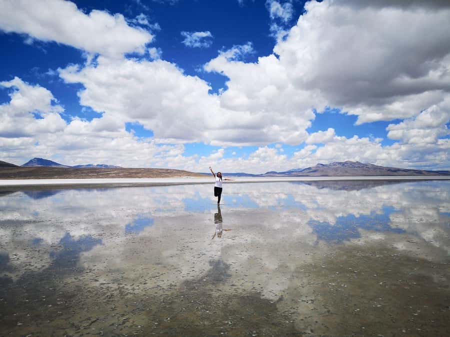 Offer Price Tour Salinas Lagoon and National Reserve 8 hours - Starting from Arequipa: the morning rhythm you’ll follow
