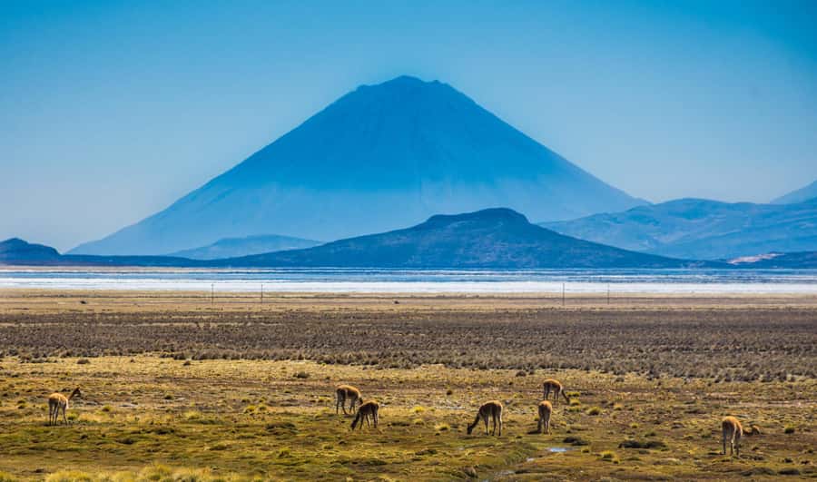 Offer Price Tour Salinas Lagoon and National Reserve 8 hours - Van rides, timing, and group energy: how the day feels in motion