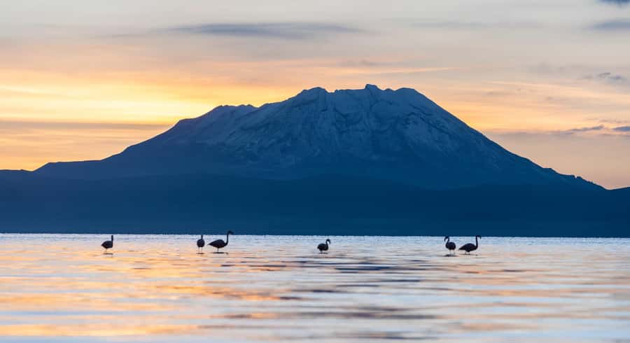 Offer Price Tour Salinas Lagoon and National Reserve 8 hours - What to bring so the day stays fun
