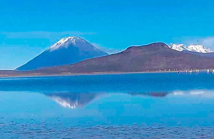 Offer Price Tour Salinas Lagoon and National Reserve 8 hours - Chiguata and the Mirador de los Volcanes: where the view does the talking