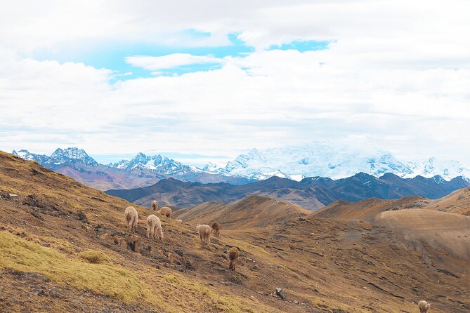 Palccoyo Rainbow Mountain Full Day Tour from Cusco - Stop 2, Checacupe: three bridges and an Inca bridge crossing
