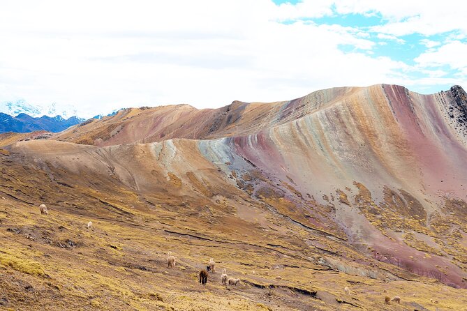Palccoyo Rainbow Mountain Full Day Tour from Cusco - Guides and group vibe: what the best days feel like