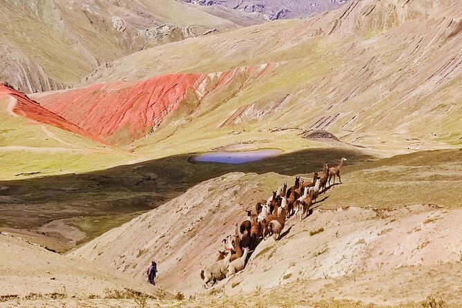 Palccoyo Rainbow Mountains Full Day Tour from Cusco - Should you book Palccoyo Rainbow Mountains from Cusco?