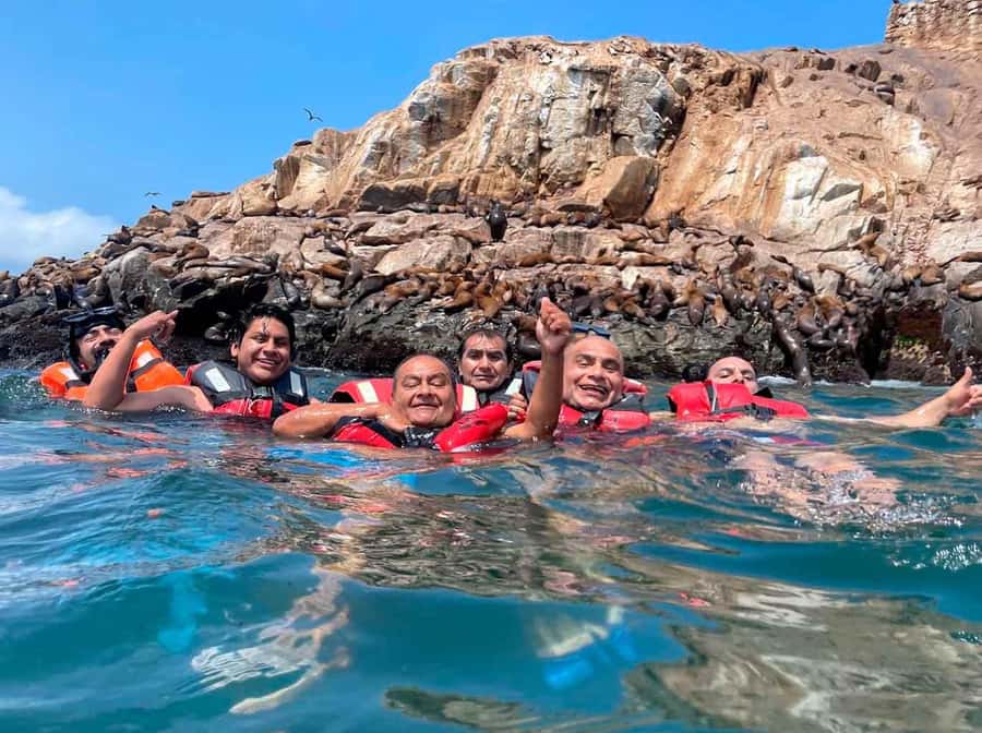 Palomino Islands Yacht Tour and swim alongside the sea lions - Key highlights I’d plan around