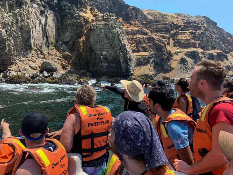 Palomino Islands Yacht Tour and swim alongside the sea lions - Should you book the Palomino Islands Yacht Tour?