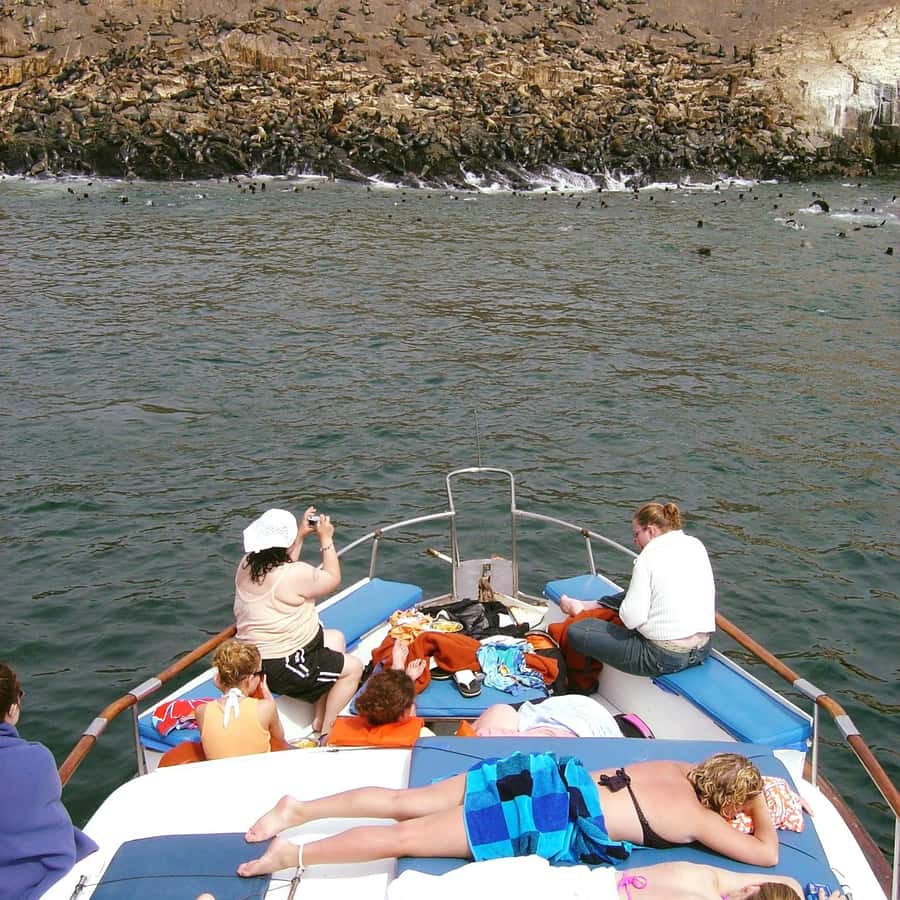 Palomino Islands Yacht Tour and swim alongside the sea lions - The 45-minute yacht ride, plus a running commentary on the coastline