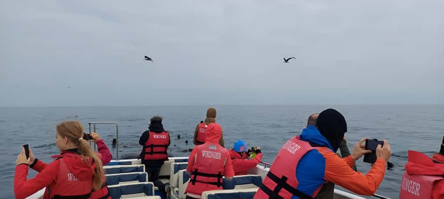 Paracas: Ballestas Island & Nature Reserve all inclusive - Guides, the human factor, and why it changes the day
