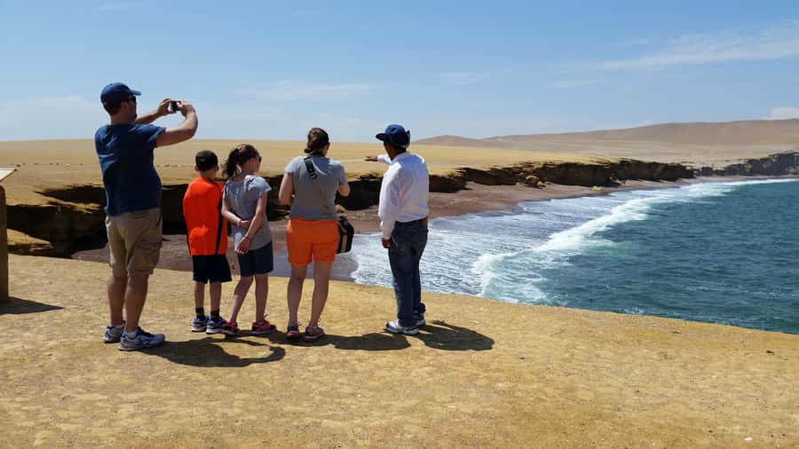 Paracas: Ballestas Island & Nature Reserve all inclusive - Candelabro de Paracas: that Nazca-like cliff icon