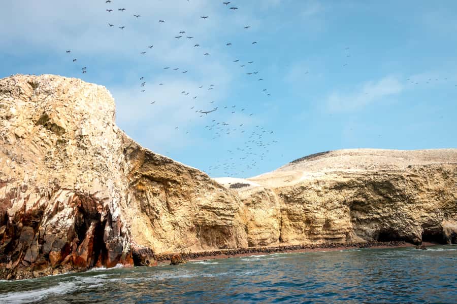 Paracas: Ballestas Island & Nature Reserve all inclusive - Ballestas Islands by speedboat: wildlife viewing with penguins as the mission