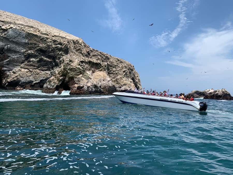 Paracas: Ballestas Island & Nature Reserve all inclusive - Lagunillas: the calm pause for birds and long views