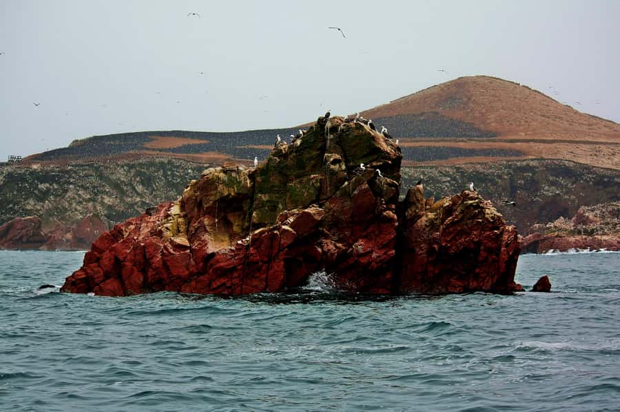 Paracas: Ballestas Islands and Candelabra of Paracas Boat - What to bring checklist (keep it simple)