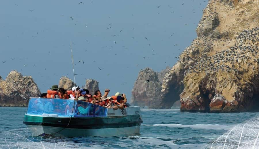 Paracas: Ballestas Islands and Candelabra of Paracas Boat - What the guide teaches you, and why it adds value