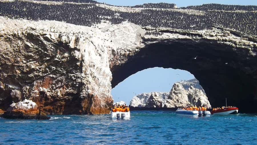 Paracas: Ballestas Islands Boat tour - Islas Ballestas - Key highlights to look for