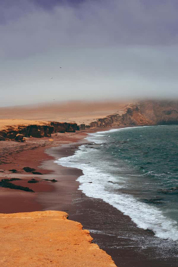 Paracas: Ballestas Islands Boat tour - Islas Ballestas - Why Ballestas Islands feel like Peru’s mini Galapagos
