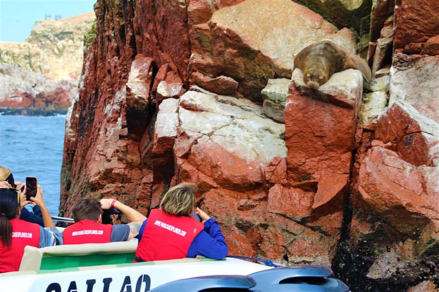 Paracas: Ballestas Islands Guided Boat Tour - Key highlights at a glance