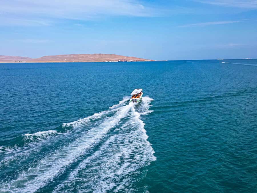 Paracas: Ballestas Islands Guided Boat Tour - Why the boat ride feels special (natural arches and caves)