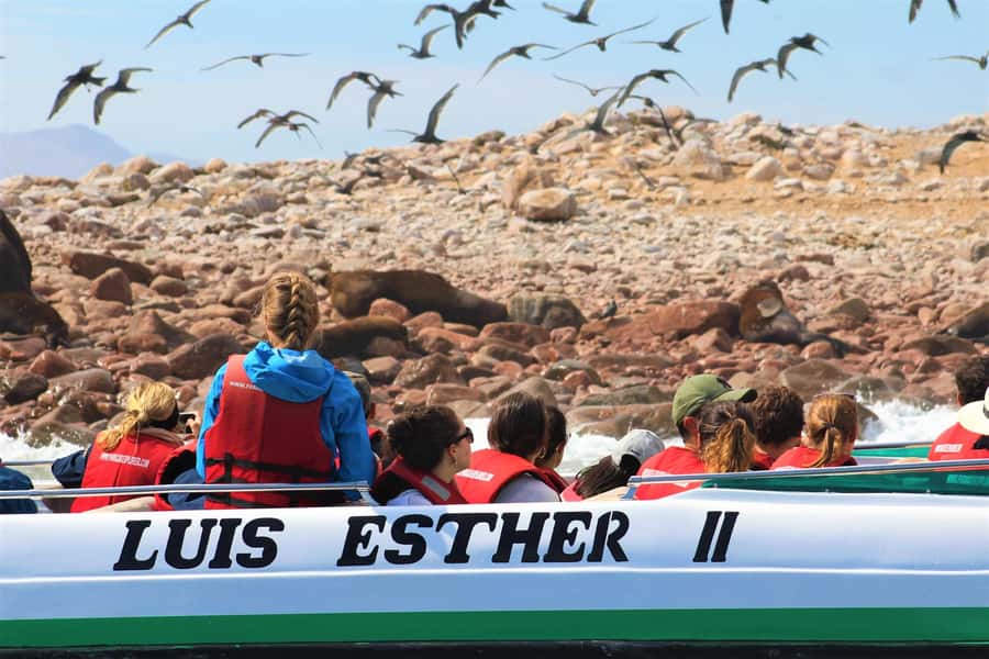 Paracas: Ballestas Islands Guided Boat Tour - Safety and who this tour suits best