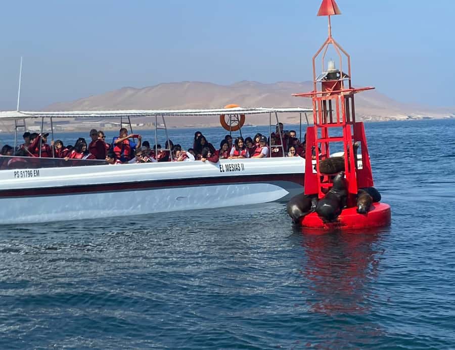 Paracas: Ballestas Islands Morning Boat Tour - Who This Tour Is Best For