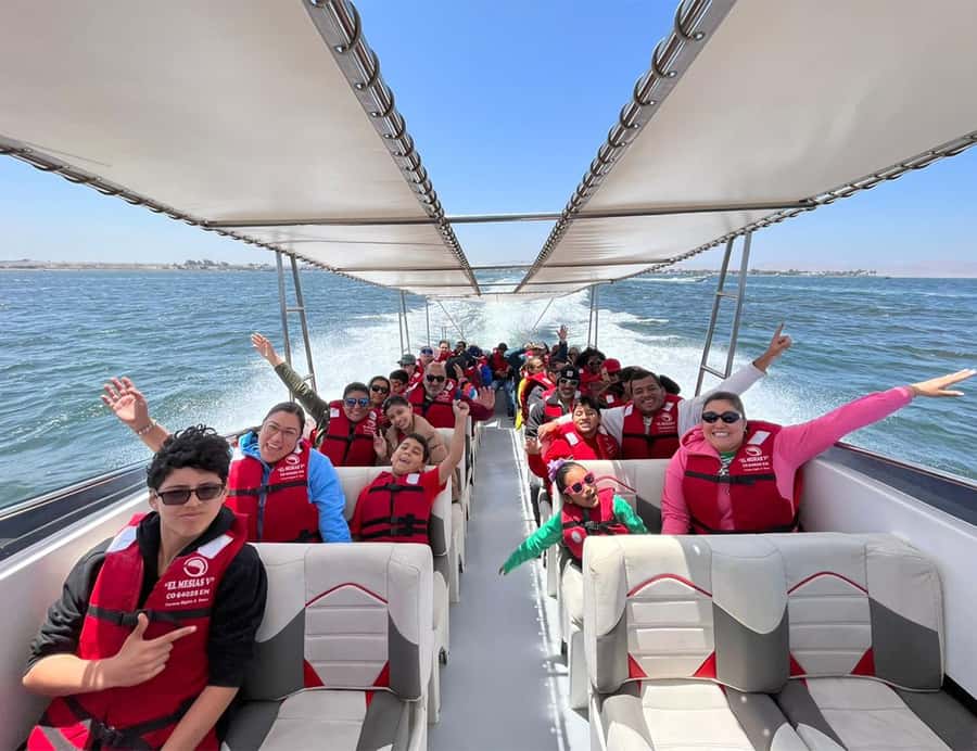 Paracas: Ballestas Islands Morning Boat Tour - Ballestas Islands Viewing from the Water: Penguins, Sea Lions, and Birds